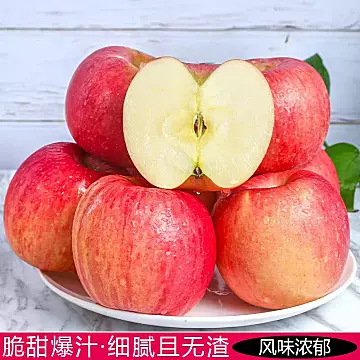 【超低价】现摘山西红富士苹果5斤[1元优惠券]-寻折猪