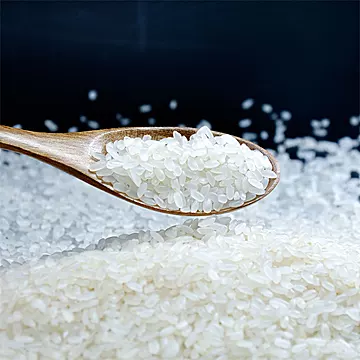 稻先菜！东北正宗稻香贡米10斤[15元优惠券]-寻折猪