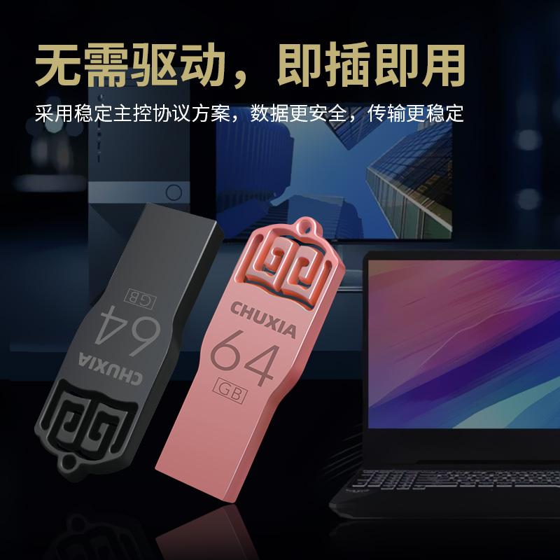 储侠64gu盘官方正品车用音乐128g手机电脑两用企业定制优盘存储-图1