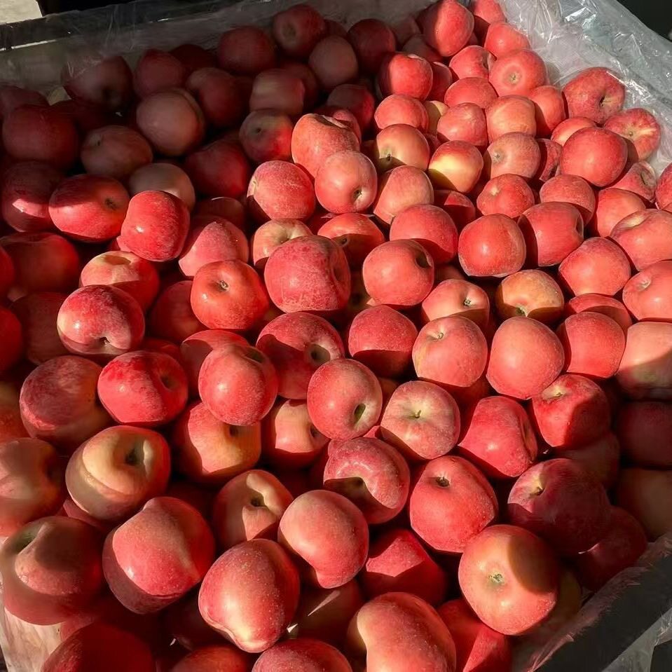 【芭芭农场】山东红富士苹果4.5斤80mm+