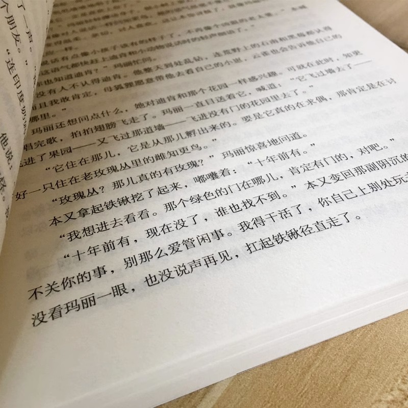 【名家名译】 秘密花园 中文版 名家名译经典文学世界名著 原汁原味读名著 儿童青少年版 中小学生课外必读书籍 - 图1