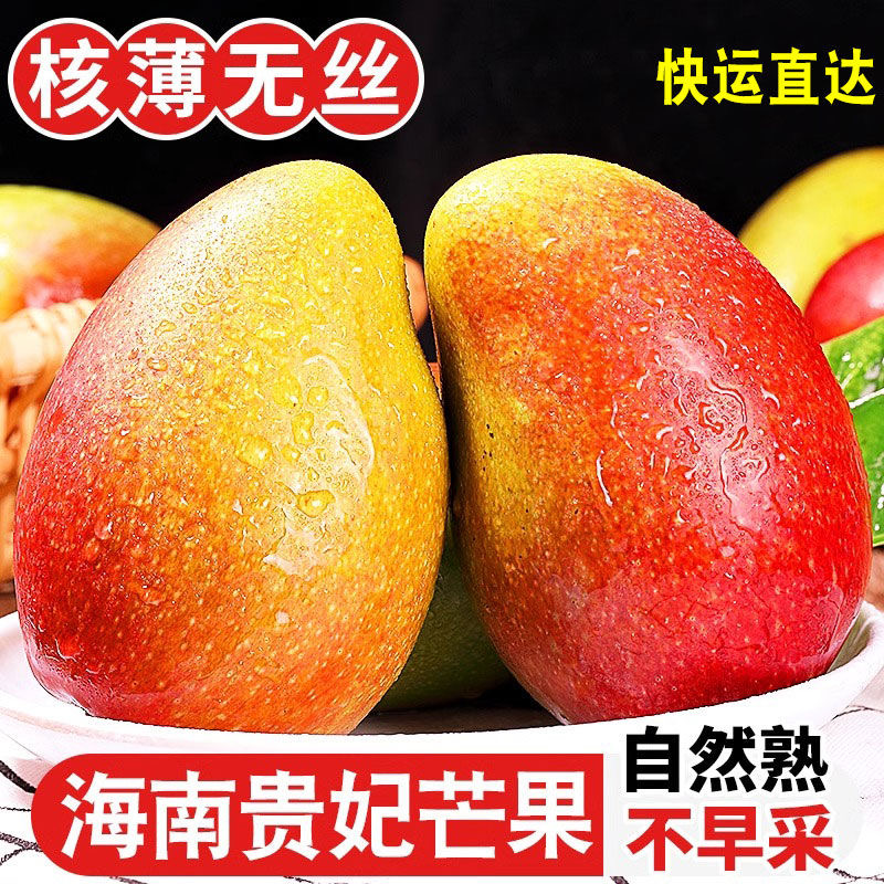 海南贵妃芒果级特大果5斤装新鲜水果当季树上熟15年老树芒果整箱