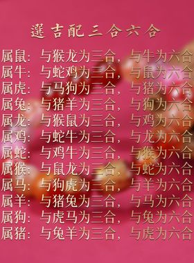 属蛇三合六合手串女2025年三面财神十二生肖朱砂水晶多宝手链男款