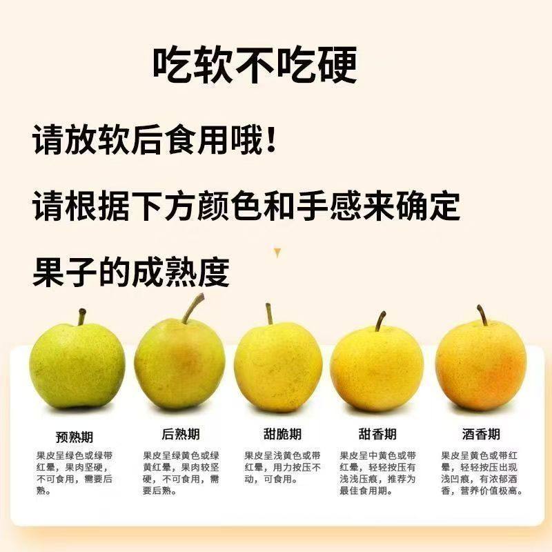 鞍山南果梨海城南果梨东北特产新鲜采摘,淘宝优惠券,粉丝福利购,淘宝优惠卷