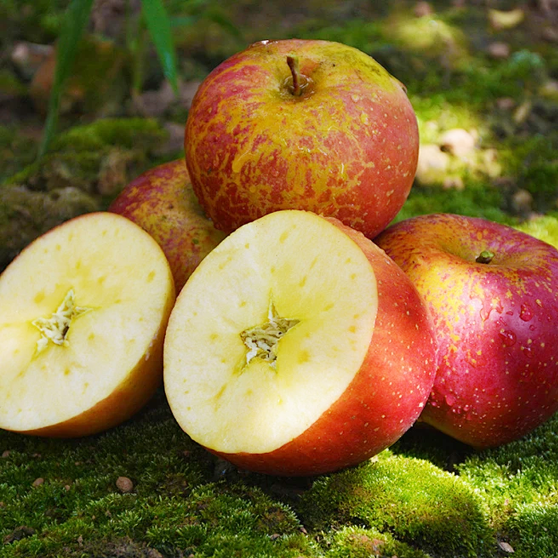 云南昭通冰糖心丑苹果新鲜苹果当季水果红富士大凉山生鲜年货节,淘宝优惠券,粉丝福利购,淘宝优惠卷