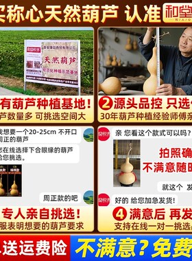 天然葫芦挂件/摆件客厅办公室