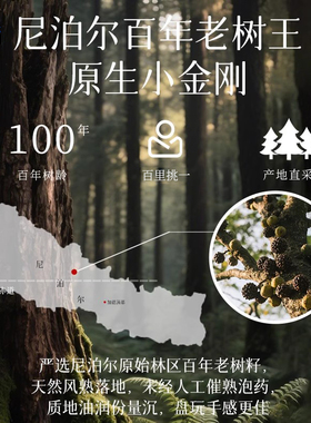 树王爆肉小金刚菩提子手串