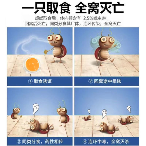 灭蟑螂药正品家用室内非无毒全窝一窝端室内胶饵剂厨房杀小强克星 - 图1