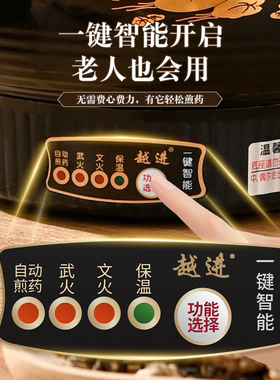 全自动中药煎壶家用煎药壶