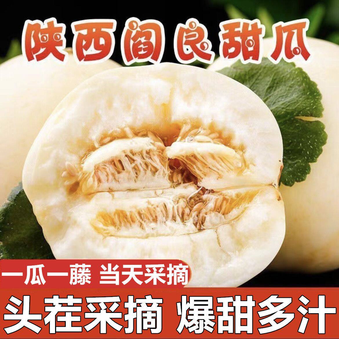 正宗现摘陕西阎良甜瓜9斤香瓜当季新鲜水果软糯香甜玉菇小蜜瓜