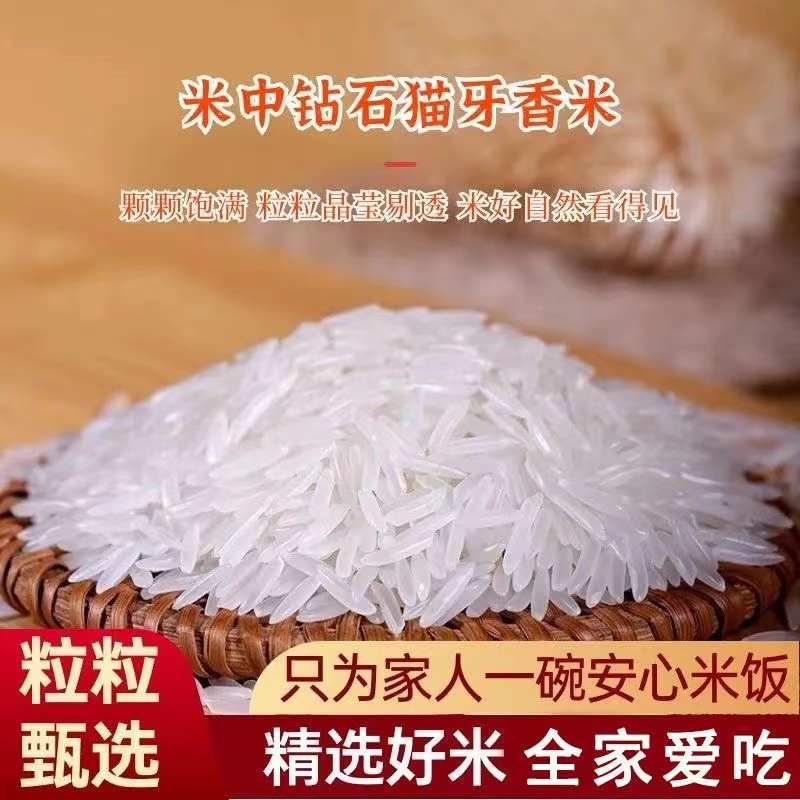 进口柬埔寨香米大米长粒香米猫牙米当季新米真空包装5/10斤多规格 - 图1