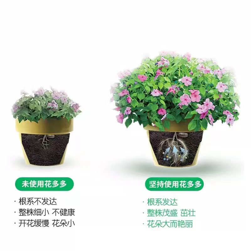 花多多1号2号12号通用型花朵朵一号二号月季绣球水溶促开花肥料 - 图2