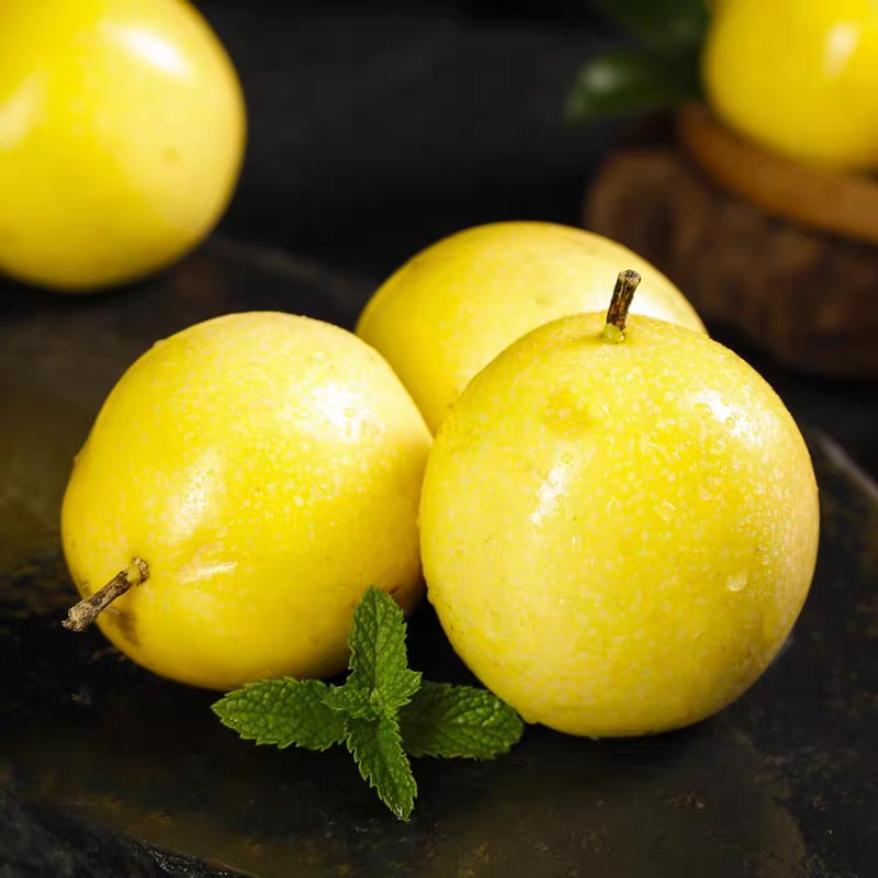 图 5