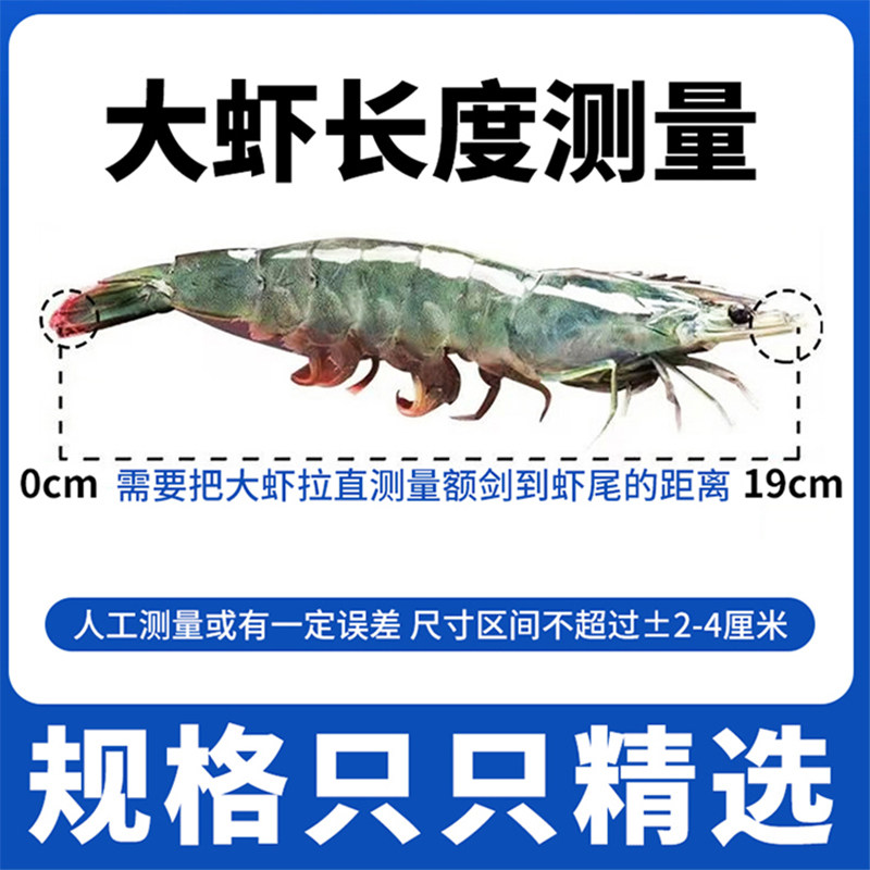新鲜大虾鲜活青岛大虾冷冻海捕白对虾大号基围虾非青虾海鲜水产