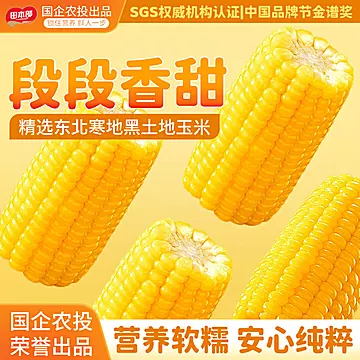 田本部！1.3KG北纬47玉米段[2元优惠券]-寻折猪