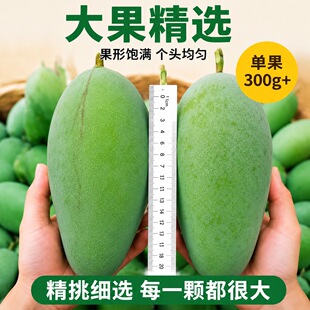 广西金煌芒超大果净重5斤