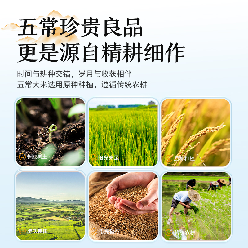 Northeast Wuchang Daohuaxiang No. 2 5kg new rice Heilongjiang soft glutinous porridge rice japonica rice vacuum high quality