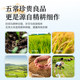 Northeast Wuchang Daohuaxiang No. 2 5kg new rice Heilongjiang soft glutinous porridge rice japonica rice vacuum high quality