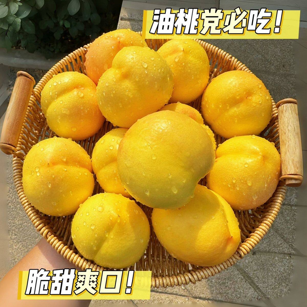 【产地直发】正宗山东蒙阴黄油桃脆甜可放软蒙阴蜜桃新鲜水果应季