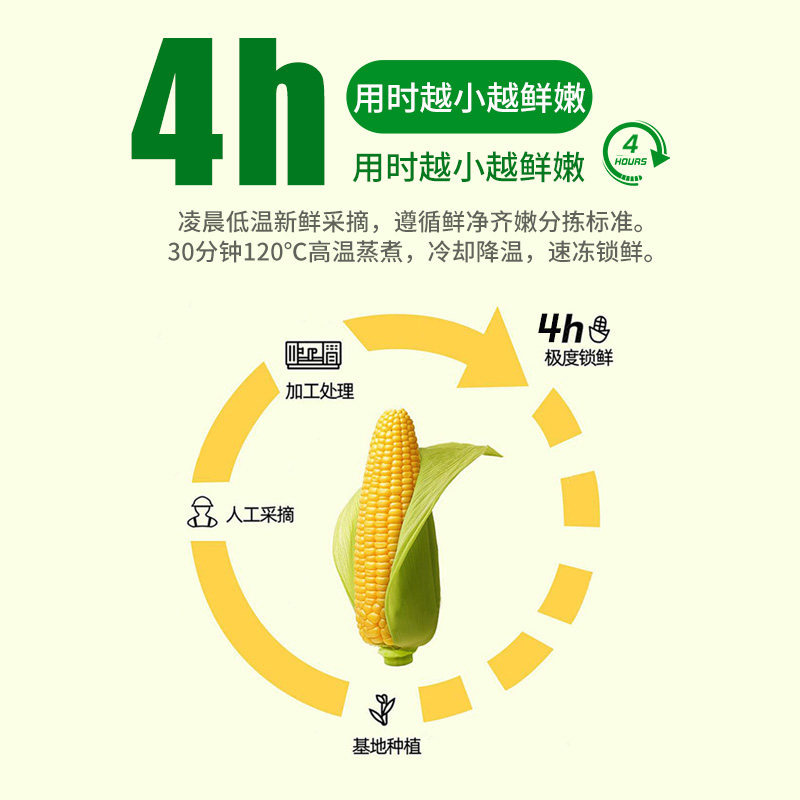 新鲜东北真空包装黏玉米棒黄糯苞米现摘甜粒粘真空装早餐代餐软糯,淘宝优惠券,粉丝福利购,淘宝优惠卷