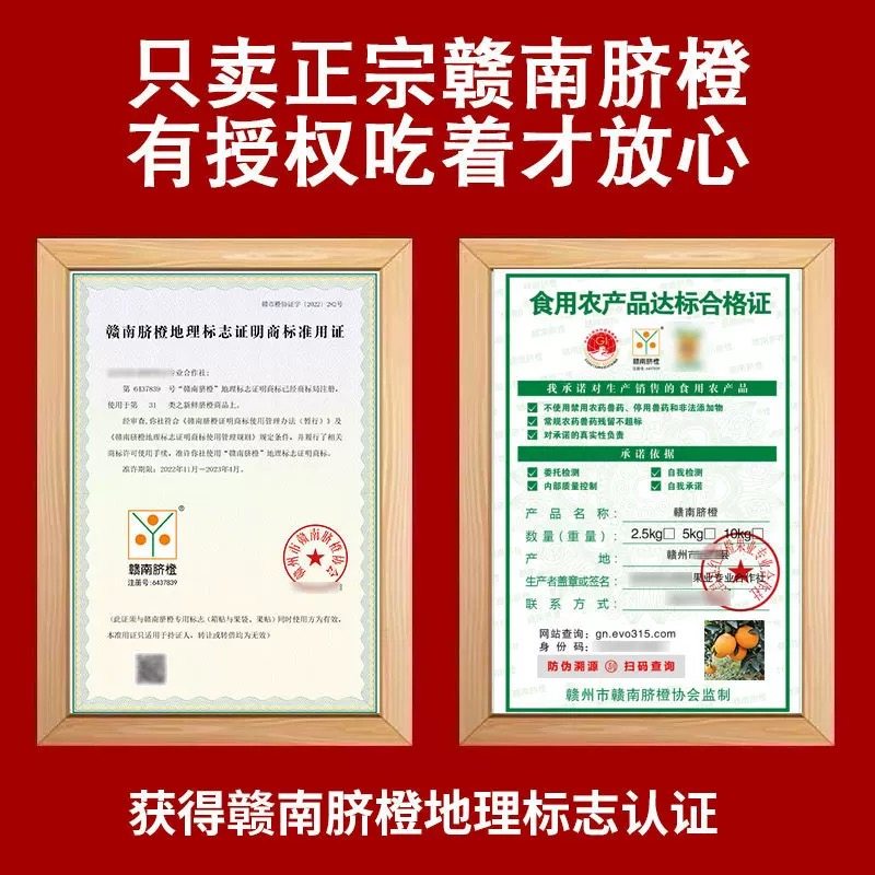 正宗江西赣南脐橙橙子新鲜9斤大果应季孕妇水果赣州直发手剥甜橙,淘宝优惠券,粉丝福利购,淘宝优惠卷