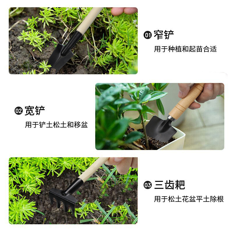 种花工具家用种菜养花园艺松土花铲盆栽花艺种植工具三件套小铲子-图2