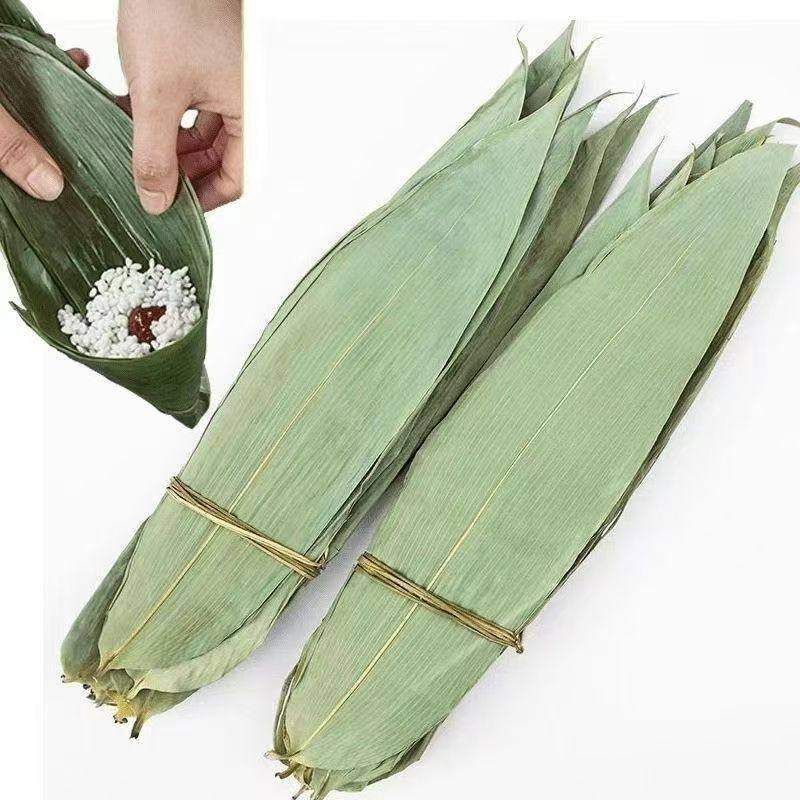 粽子叶粽叶干大号棕叶新鲜包粽子的竹叶子干粽叶商用箬叶材料批发,淘宝优惠券,粉丝福利购,淘宝优惠卷
