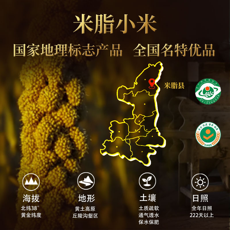 High-quality northern Shaanxi yellow millet oil, millet, rice fat, millet, seasonal nutritional grains, farm-grown coarse grains