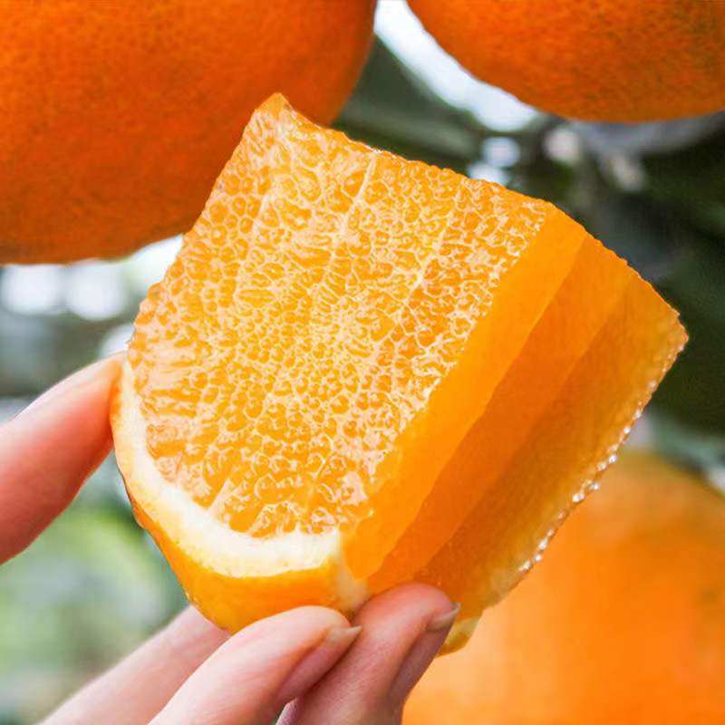 重庆奉节脐橙产地直发纽荷尔橙子大果当季新鲜水果整箱包邮,淘宝优惠券,粉丝福利购,淘宝优惠卷