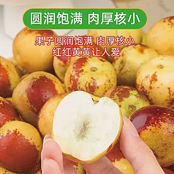 5斤正宗山东沾化新鲜冬枣[1元优惠券]-寻折猪