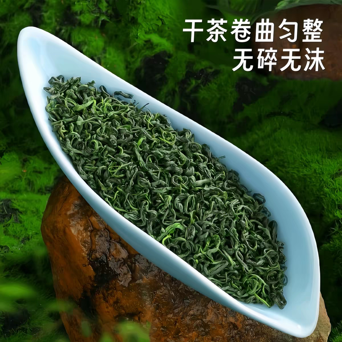 正宗山东日照绿茶新茶云雾绿茶高山茶叶礼盒送礼组合散装不苦