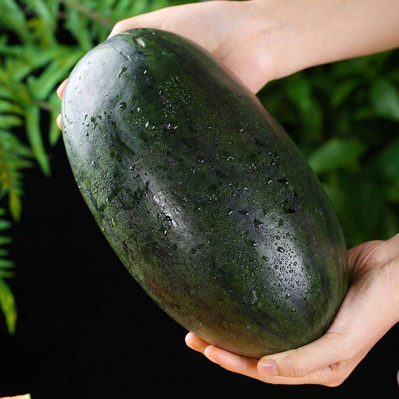 【爆甜多汁】正宗越南黑美人西瓜纯甜多汁新鲜应季水果一整箱批发,淘宝优惠券,粉丝福利购,淘宝优惠卷