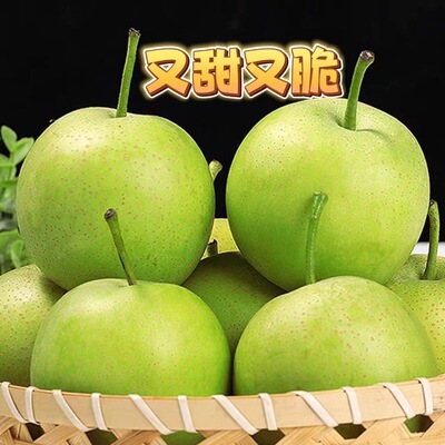 当季新梨酥脆一号皇冠梨青梨新鲜水果特产香甜脆现摘梨子青皮翠玉