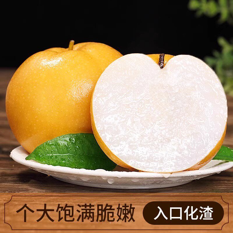 正宗烟台莱阳秋月梨当季羊脂梨子4.5新鲜整箱山东新鲜当季水果