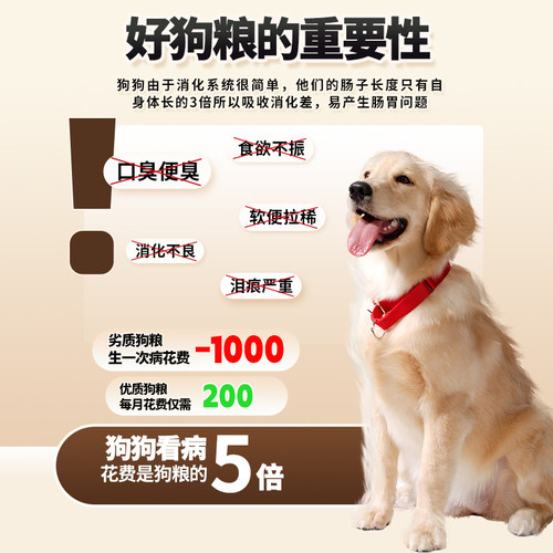 狗粮通用型10斤装成犬幼犬比熊成犬博美柯基金毛全价冻干粮实惠装 - 图3