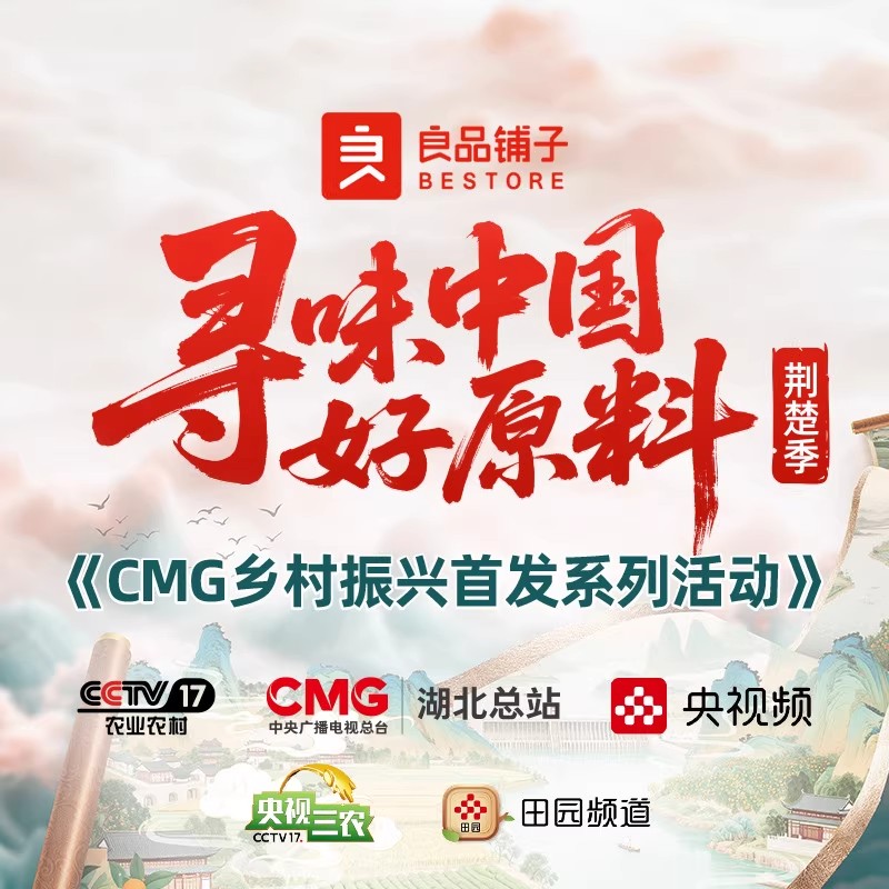 Bestore Pork Dried Pork Dried Pork Dried Pork Dried Pork Shop Jingjiang Specialty Pork Shop Leisure Satisfaction Snacks Stock Up Spicy Flavors