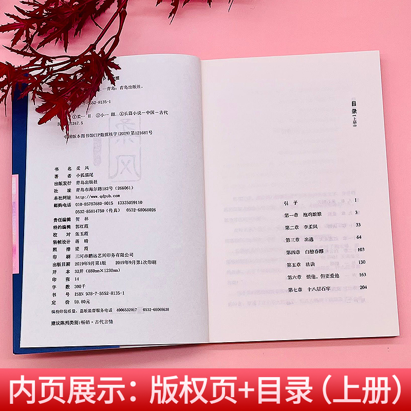 柔风上下全套共2册已完结小狐濡尾著青春文学古风玄幻经典爱情故事言情小说南方有乔木梦见狮子重庆新华书店正版包邮-图1