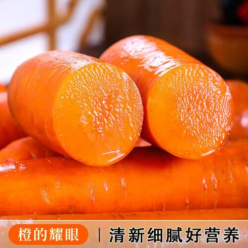 沙地新鲜蔬菜水果农家自种现挖带泥胡萝卜红萝卜营养健康自提当季 - 图0