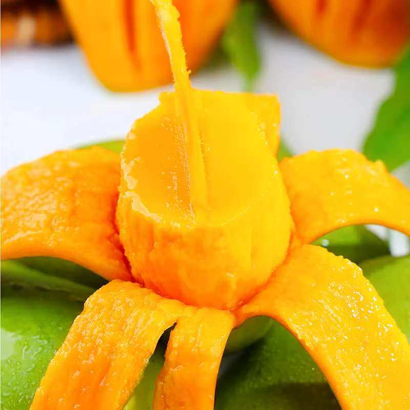 广西新鲜芒果当季水果整应季金煌芒果甜心芒香甜多汁青皮芒果