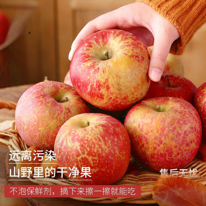 图 3