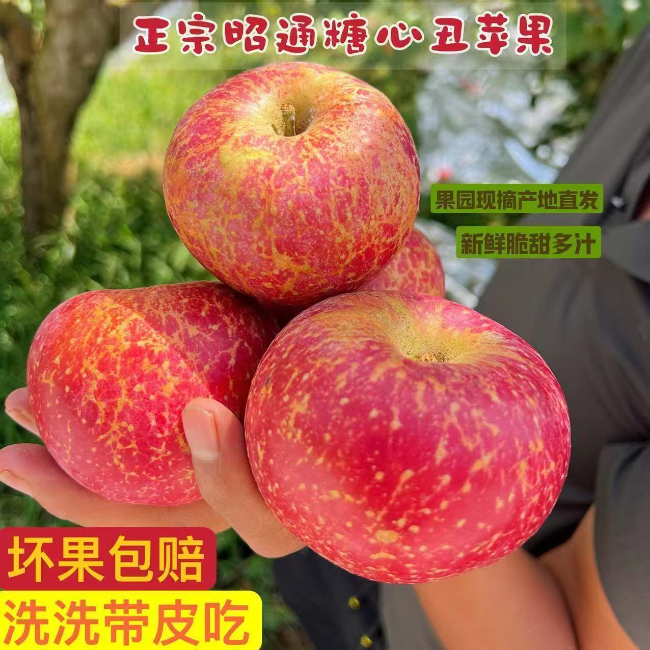 图 4