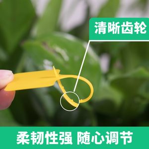 园艺标签t型多肉植物花卉地插牌塑料防水苗木定制花盆标识牌防雨