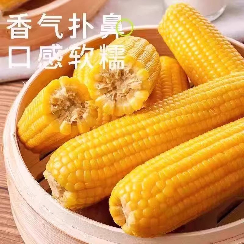 2025头茬黄糯玉米棒玉米粒香甜糯东北可拉丝真空包装代餐粗粮软糯