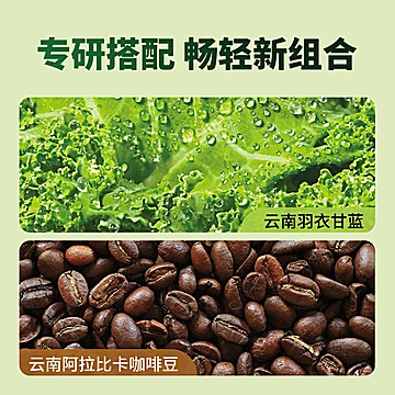 轻上！羽衣甘蓝黑咖啡245ml×10瓶[7元优惠券]-寻折猪