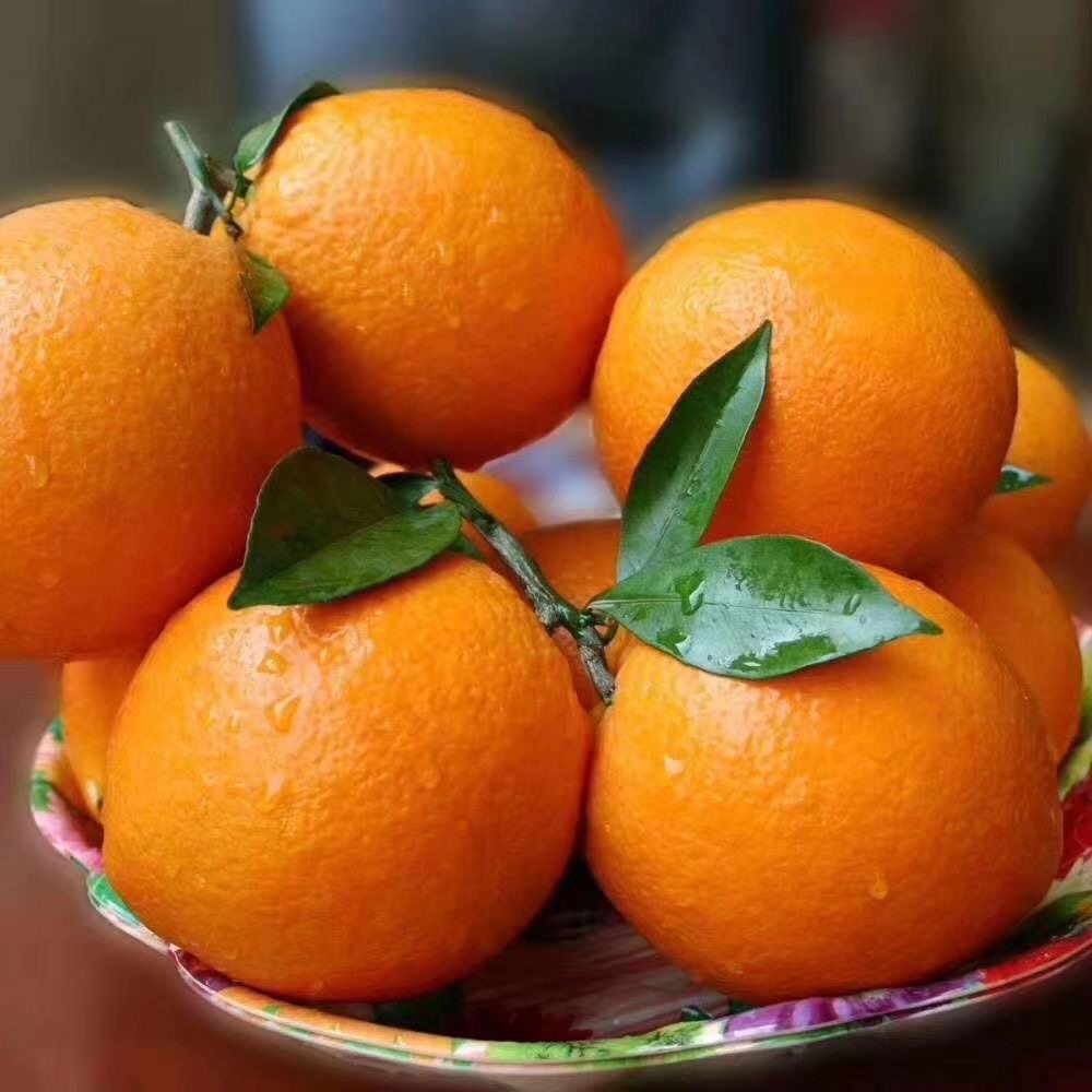 新鲜脐橙橙子现采直发甜蜜多汁手剥榨汁甜橙子儿童孕妇时令水果橙,淘宝优惠券,粉丝福利购,淘宝优惠卷