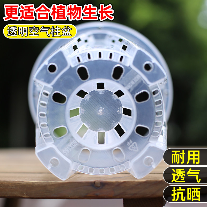 透明控根花盆兰花水苔蝴蝶兰透气蝴蝶兰桌面阳台塑料树脂花盆,淘宝优惠券,粉丝福利购,淘宝优惠卷