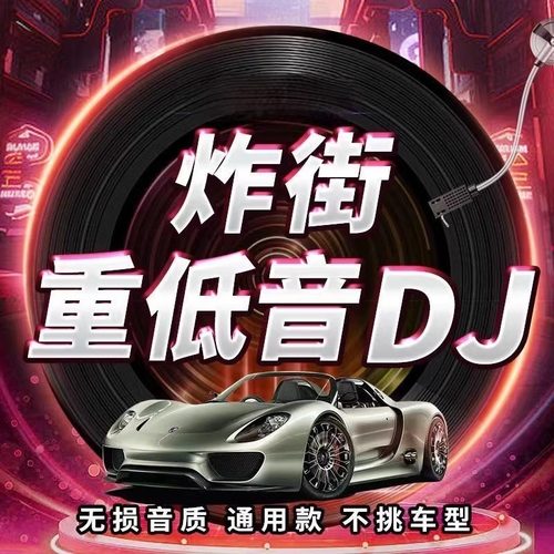 2025新款车载u盘音乐抖音流行歌曲经典dj新歌中文热门舞曲MP4优盘 - 图1