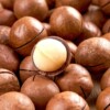 Wholesale price of macadamia nut large butter flavor nut roasted snacks including packaging weight 500g and free opener