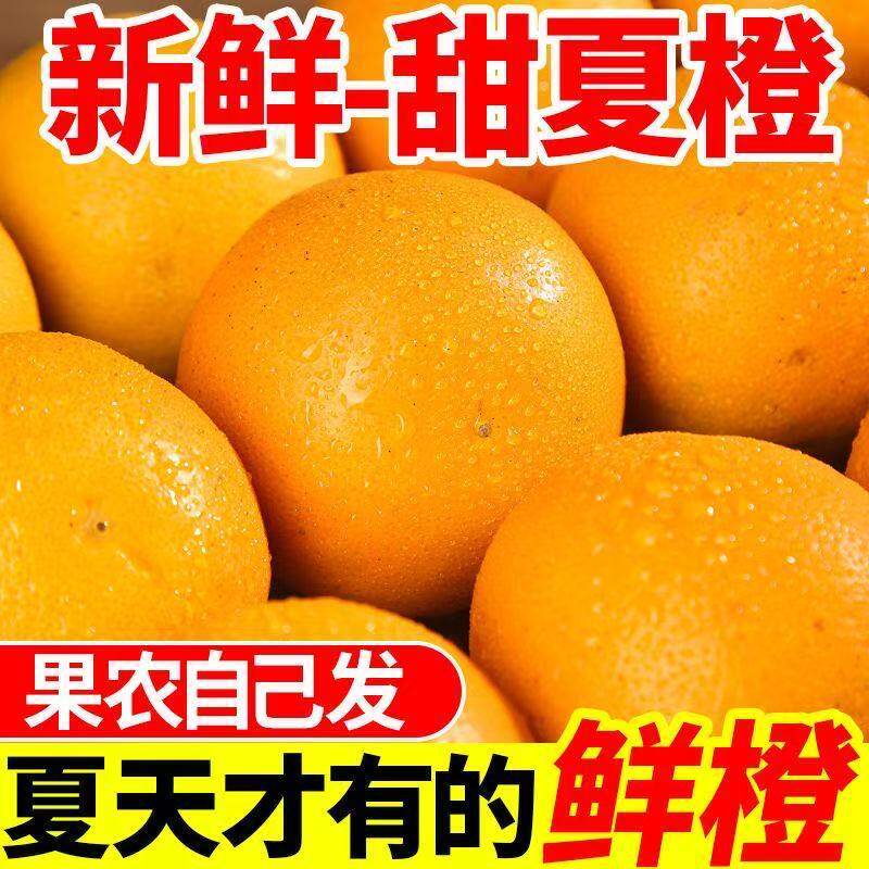 正宗广西桂林夏橙整箱包邮新鲜大果时令水果整箱冰糖手剥甜橙1