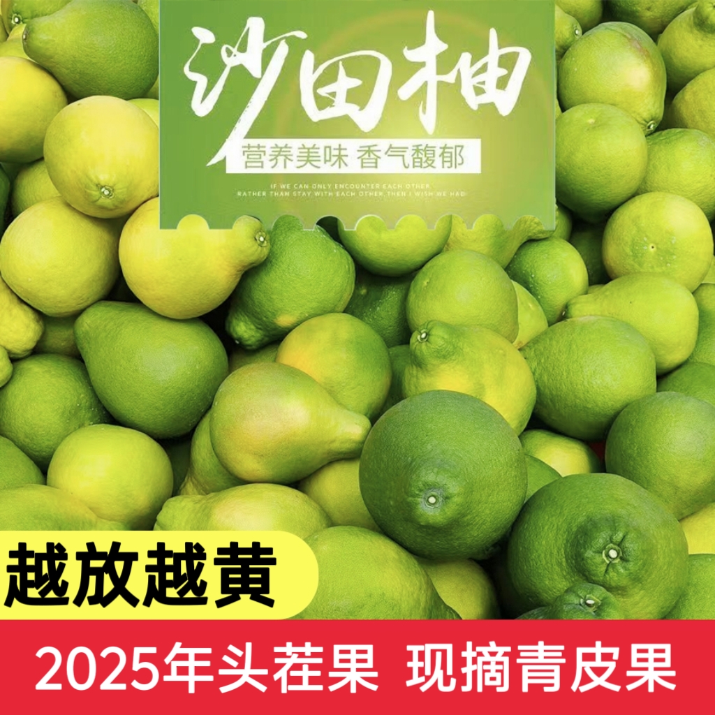 正宗梅州沙田柚10斤纯甜柚子广东梅州金柚当季新鲜水果青皮需放置